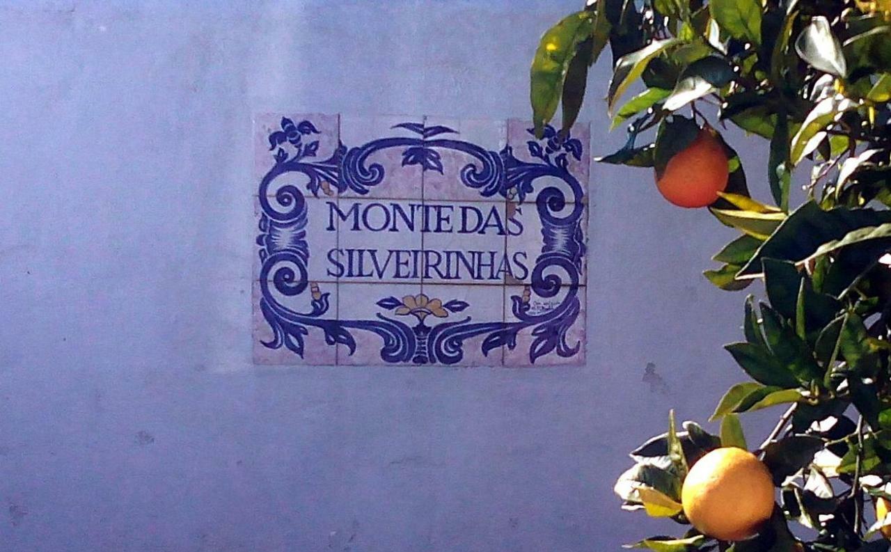 Villa Monte Das Silveirinhas - Casa Rural à Charnequinha Silveiras Extérieur photo